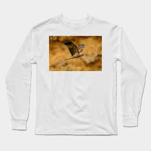 Whistling Kite 02 Long Sleeve T-Shirt